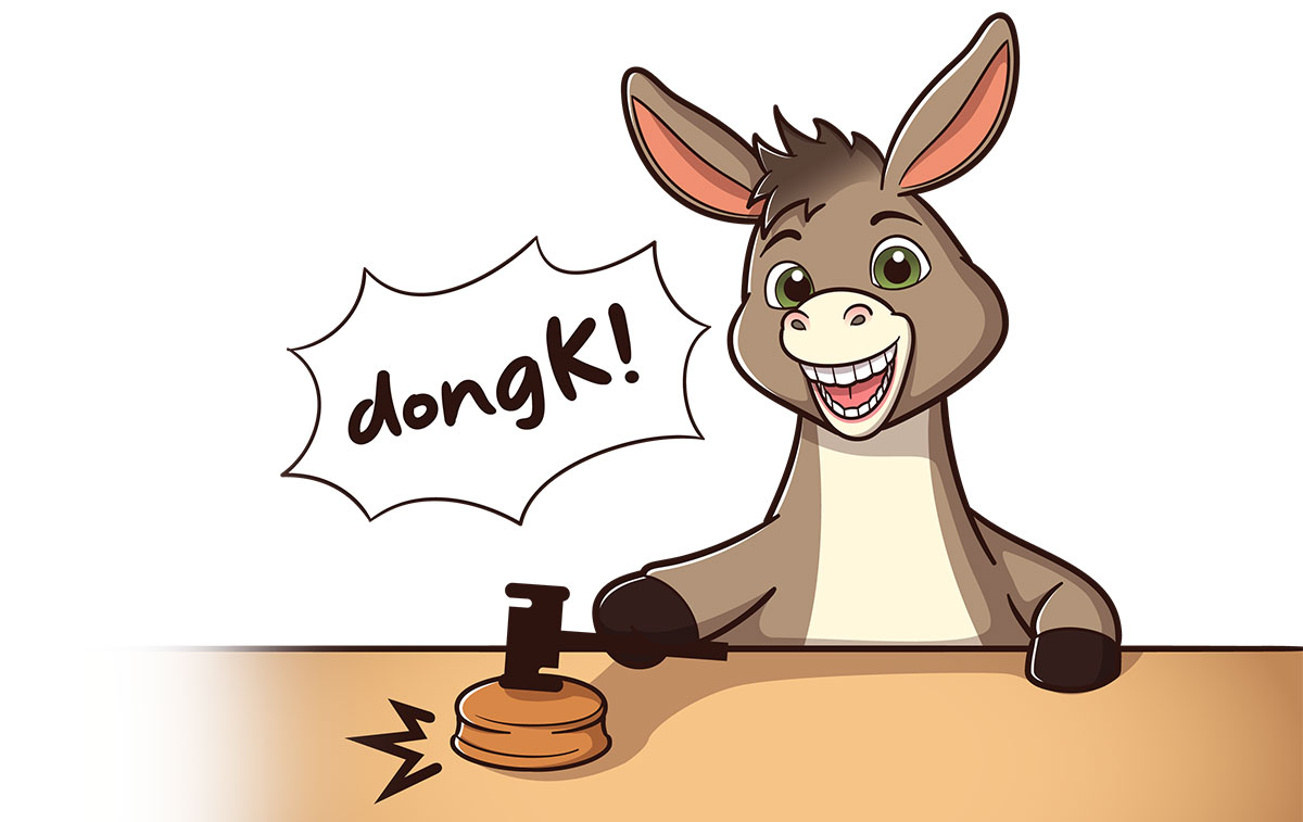 dongK Donkey